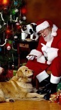 Ladda ner People, New Year, Holidays, Christmas, Xmas, Santa Claus, Animals bilden 1024x768 till mobilen.