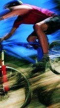 Ladda ner Sport, Humans, Bicycles bilden 1080x1920 till mobilen.