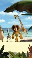 Ladda ner Madagascar, Cartoon bilden till mobilen.