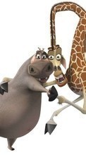 Ladda ner Cartoon, Madagascar bilden till mobilen.