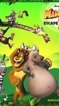 Ladda ner Cartoon, Madagascar, Escape Africa bilden 1080x1920 till mobilen.
