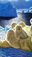 Animals, Winter, Snow, Bears, Drawings till Samsung Galaxy J7