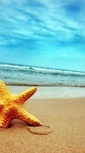 Sea, Starfish, Sky, Landscape, Beach till Lenovo A369i