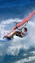 Ladda ner Sport, Water, Sea, Men, Windsurfing bilden 1280x800 till mobilen.
