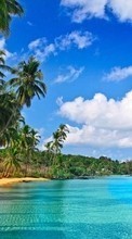 Sea, Sky, Clouds, Palms, Landscape, Beach till BlackBerry Torch 9810