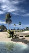 Ladda ner Landscape, Sky, Sea, Beach, Palms bilden 320x240 till mobilen.