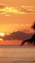 Ladda ner Landscape, Sunset, Sky, Sea, Sun, Palms bilden till mobilen.
