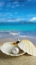 Ladda ner Sea, Objects, Shells, Pearls bilden till mobilen.