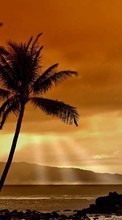 Ladda ner Sea, Clouds, Palms, Landscape, Sunset bilden till mobilen.