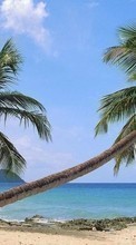 Ladda ner Landscape, Sea, Palms bilden 1024x600 till mobilen.