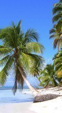 Sea, Palms, Landscape, Beach till LG V10