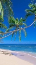 Ladda ner Landscape, Sea, Beach, Palms bilden 128x160 till mobilen.