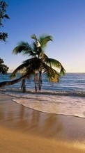 Ladda ner Landscape, Water, Sunset, Sea, Sun, Beach, Palms bilden 720x1280 till mobilen.