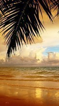 Ladda ner Sea, Palms, Landscape, Beach, Sunset bilden till mobilen.