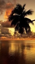 Ladda ner Sea, Palms, Landscape, Sunset bilden till mobilen.