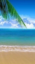 Sea,Landscape,Beach till Nokia 108