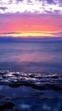 Ladda ner Landscape, Water, Sunset, Sea bilden 800x480 till mobilen.