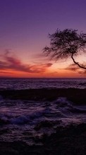 Ladda ner Landscape, Sunset, Sea bilden 1080x1920 till mobilen.