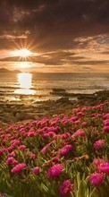 Sea,Landscape,Sunset till Samsung D600