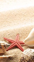 Ladda ner Starfish, Objects, Sand, Shells bilden till mobilen.