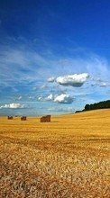 Ladda ner Landscape, Nature, Fields, Sky, Clouds bilden 320x480 till mobilen.