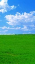 Ladda ner Landscape, Grass, Sky, Clouds bilden 720x1280 till mobilen.