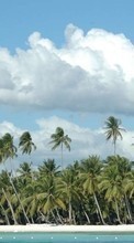 Ladda ner Landscape, Sky, Palms bilden 1024x600 till mobilen.