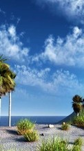 Ladda ner Landscape, Sky, Palms bilden 320x480 till mobilen.