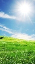 Ladda ner Landscape, Grass, Sky, Sun bilden till mobilen.