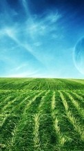 Ladda ner Landscape, Grass, Sky bilden 1080x1920 till mobilen.