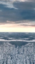 Ladda ner Landscape, Winter, Sky bilden 240x320 till mobilen.
