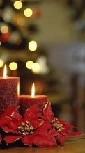 Ladda ner Holidays, New Year, Objects, Christmas, Xmas, Candles bilden 320x240 till mobilen.