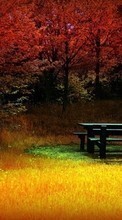 Objects,Autumn,Landscape till Apple iPhone 4