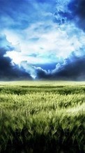 Clouds, Landscape, Fields till Sony Ericsson Xperia mini pro