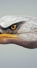 Ladda ner Humor, Birds, Eagles bilden 1080x1920 till mobilen.