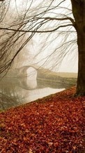 Autumn,Landscape,Nature till Sony Xperia go