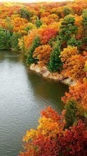 Autumn,Landscape,Rivers till ZTE ZMAX