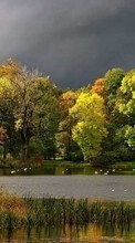 Autumn,Landscape,Rivers till LG Optimus True HD LTE P936
