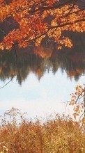Ladda ner Landscape, Rivers, Autumn bilden 320x240 till mobilen.