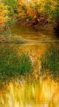Ladda ner Landscape, Rivers, Grass, Autumn bilden 320x480 till mobilen.