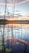 Ladda ner Lakes, Nature, Water, Sunset bilden till mobilen.