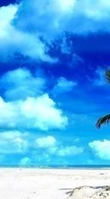 Palms,Landscape,Beach till Sony Ericsson Xperia ray