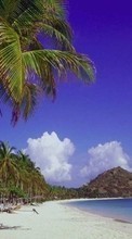 Ladda ner Landscape, Beach, Palms bilden 320x480 till mobilen.