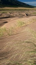 Ladda ner Landscape, Sand, Desert, Grass bilden till mobilen.