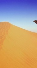 Ladda ner Animals, Landscape, Sand, Desert, Camels bilden 540x960 till mobilen.
