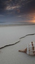 Ladda ner Landscape,Beach,Shells bilden till mobilen.