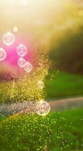 Landscape, Bubbles, Sun, Grass till Fly Nimbus 3 FS501