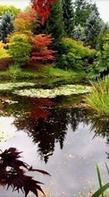 Ladda ner Plants, Landscape, Water bilden 1024x600 till mobilen.