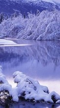 Ladda ner Landscape, Winter, Water, Rivers bilden 320x240 till mobilen.