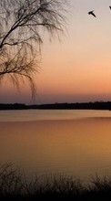 Landscape,Rivers,Sunset till Sony Xperia ZR